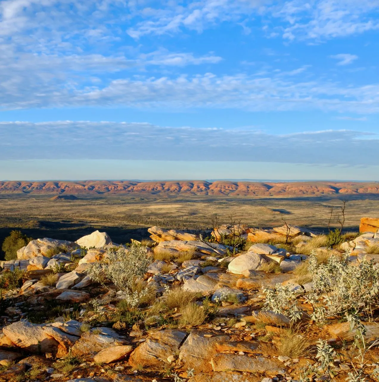 Guided vs Self-Guided: Which Larapinta Option Is Better Value?