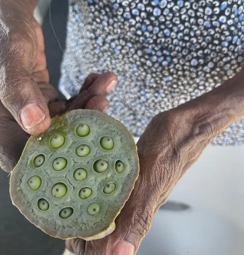 How to Respect Indigenous Culture While Visiting Kakadu