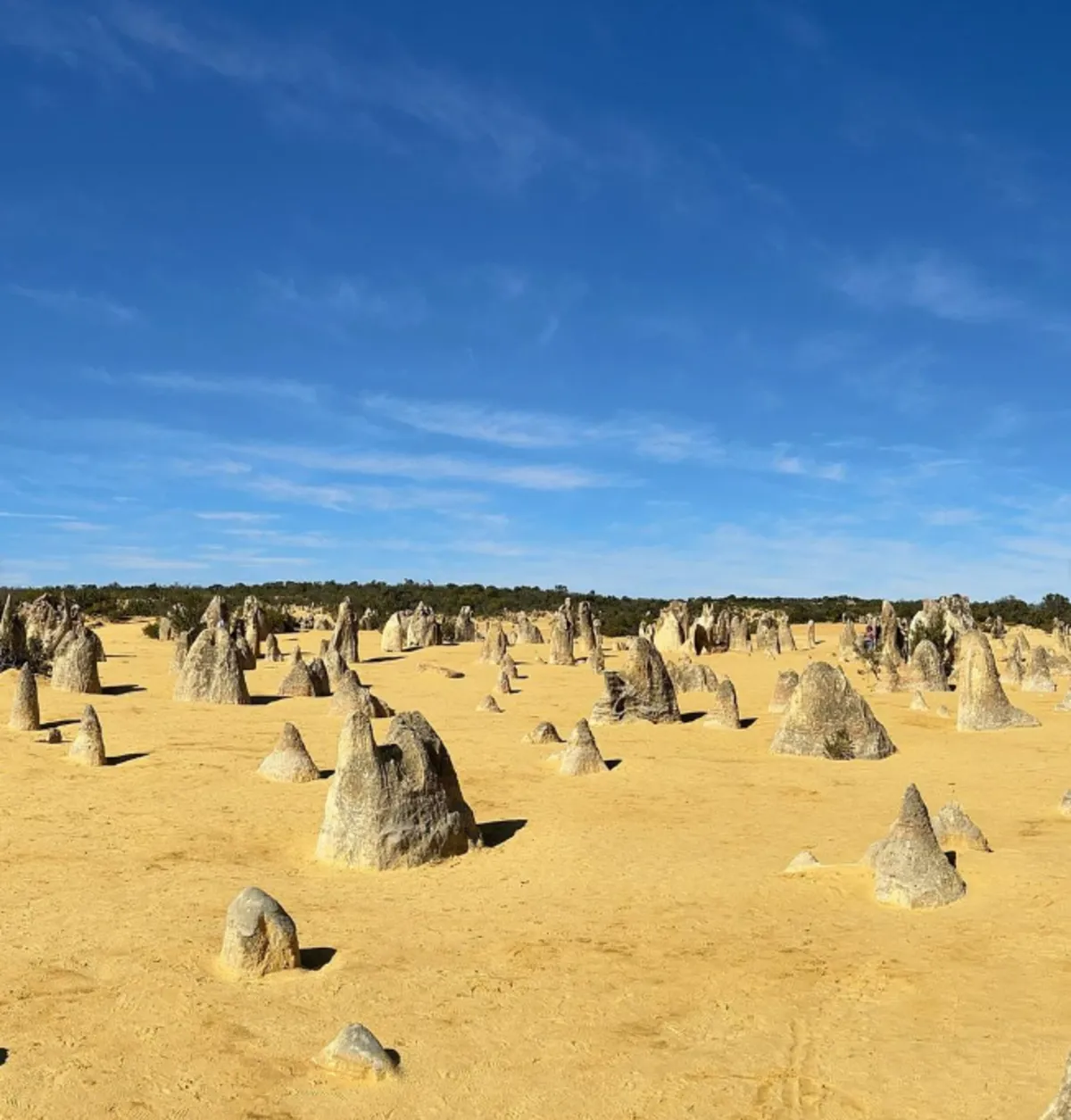 Stargazing at the Pinnacles: Celestial Beauty in a Unique Setting