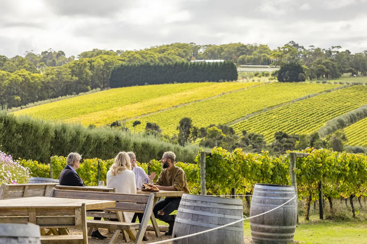 Top 10 Wineries to Visit in Mornington Peninsula